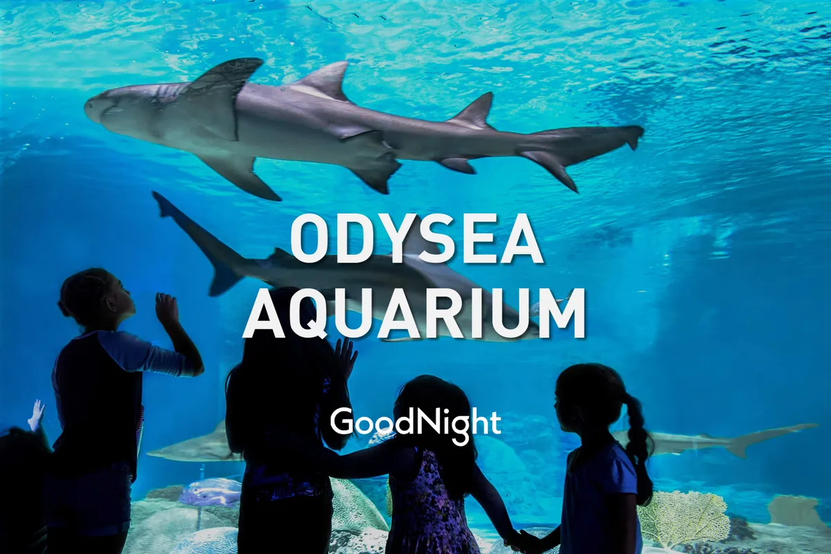 Inside an aquarium, children gaze in wonder at sharks swimming past a large glass backdrop. The scene captures the excitement and curiosity of hands-on animal encounters and immersive learning moments for families.