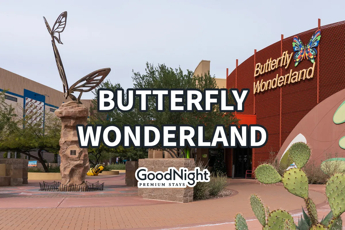 The colorful exterior of Butterfly Wonderland, featuring its distinct entrance sign, whimsical butterfly and bee sculptures, and surrounding cacti, sets a playful and educational tone. The cheerful scene invites visitors to explore hands-on exhibits suitable for all ages.
